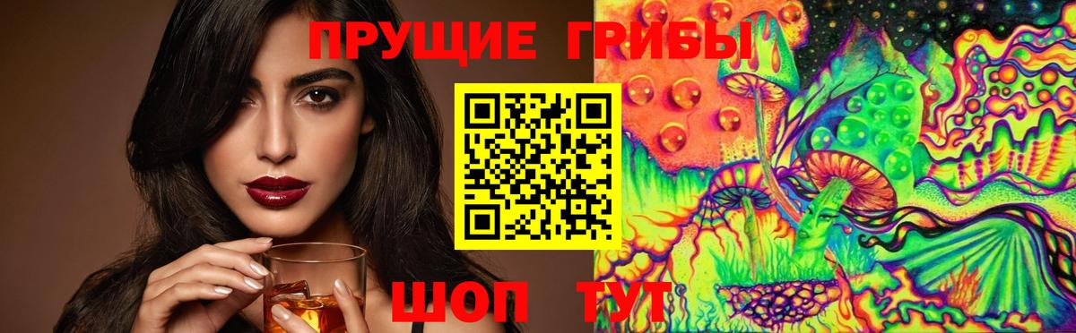 Карабулак  Галлюциногенные грибы Magic Shrooms  Вход с VPN  Псилоцибиновые грибы прущие грибы 